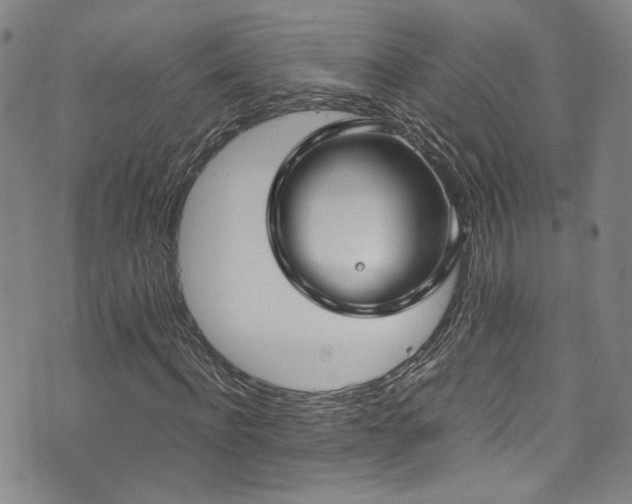 X0000072500916200607141126