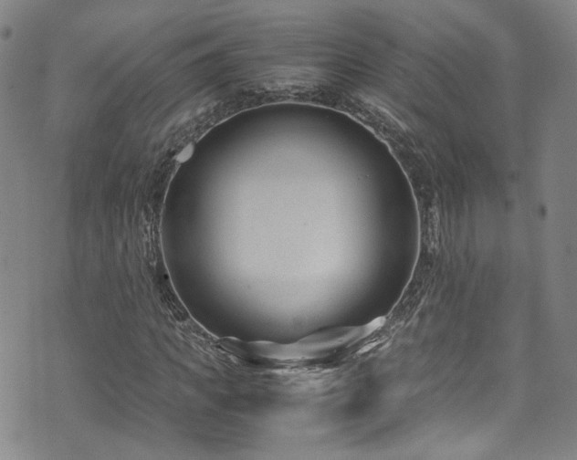 X0000072500917200607141126