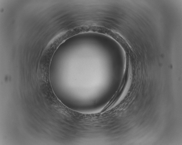 X0000072500919200607141126