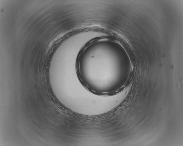 X0000072500920200607141126