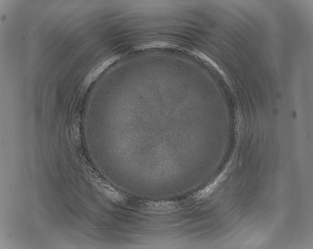 X0000072500921200607141126