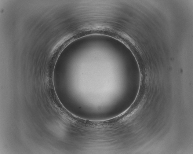 X0000072500922200607141126