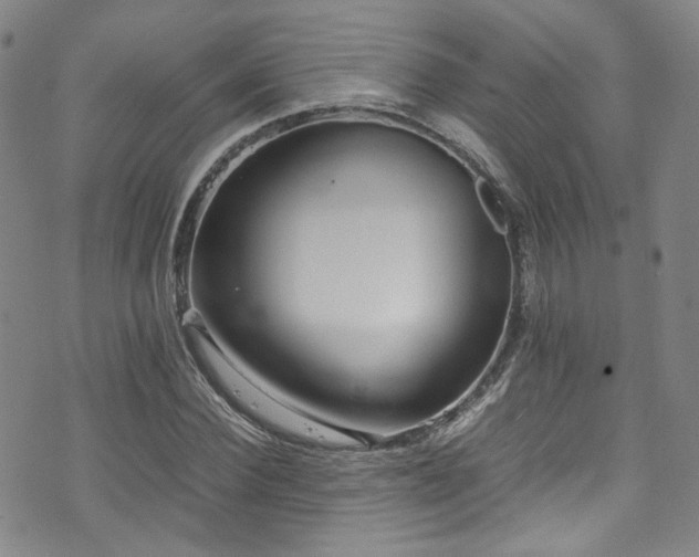 X0000072500924200607141126