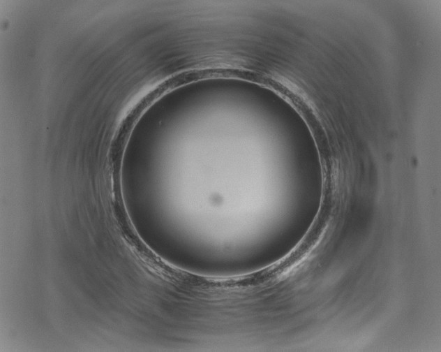 X0000072500925200607141126