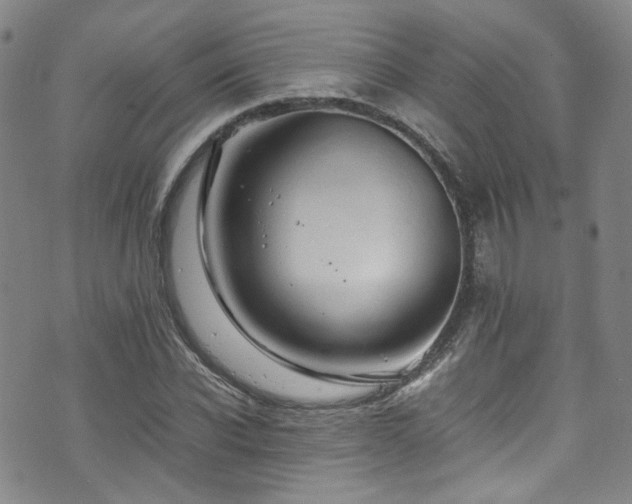 X0000072500926200607141126