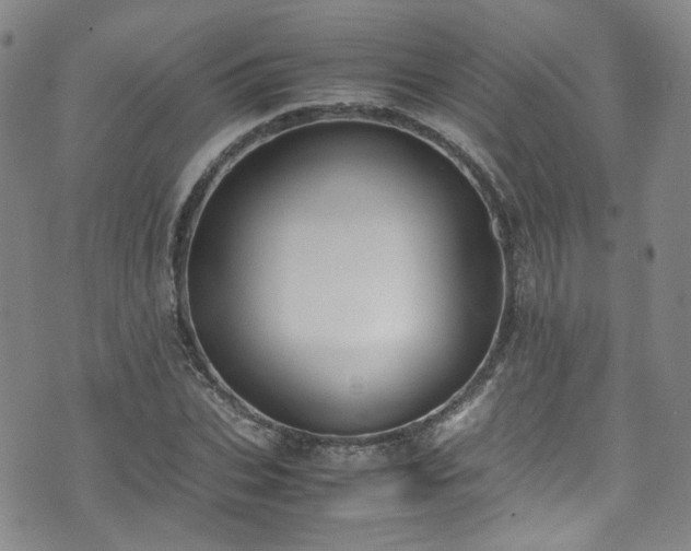 X0000072500927200607141126