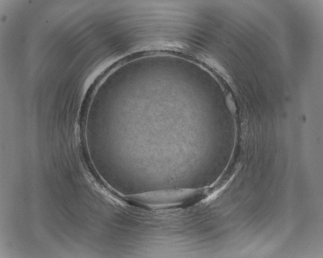 X0000072500928200607141126