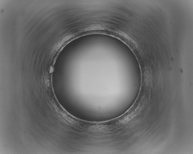 X0000072500929200607141126