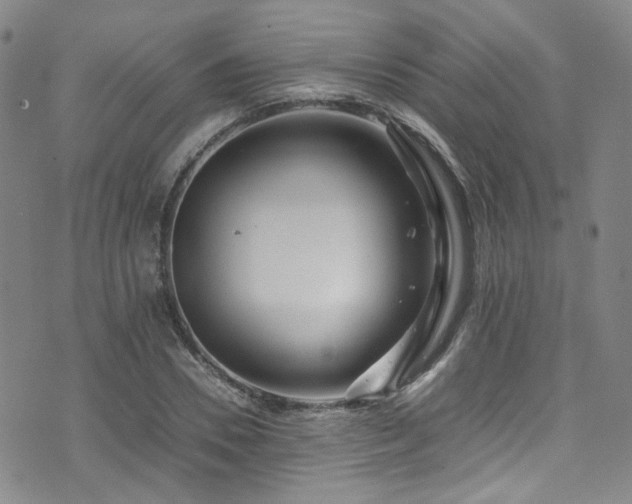 X0000072500930200607141126