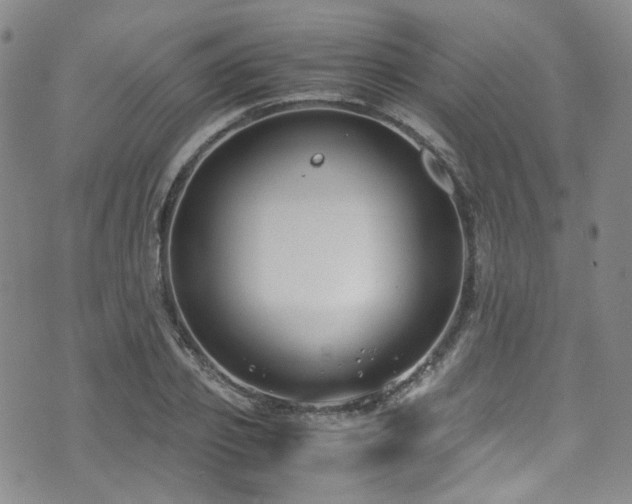 X0000072500933200607141126