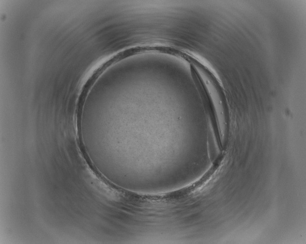 X0000072500935200607141126