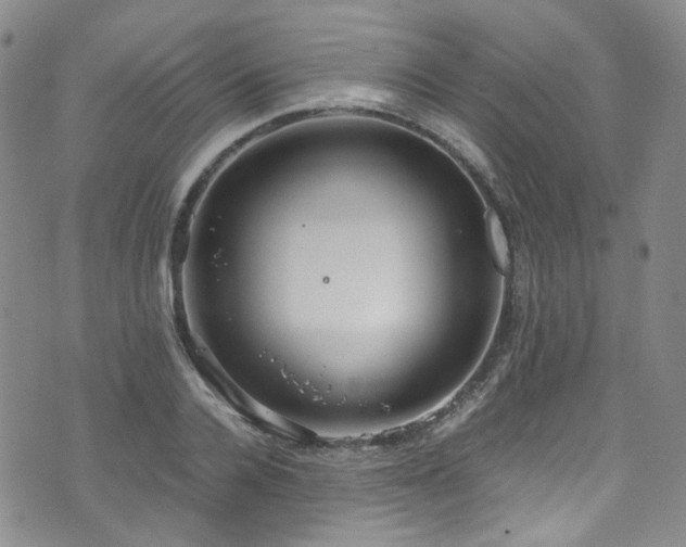 X0000072500936200607141126