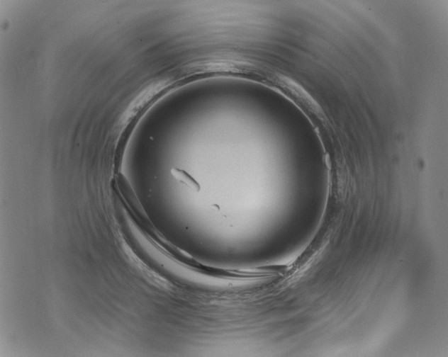 X0000072500938200607141126