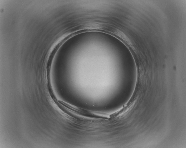 X0000072500939200607141126