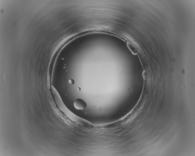 X0000072500940200607141126