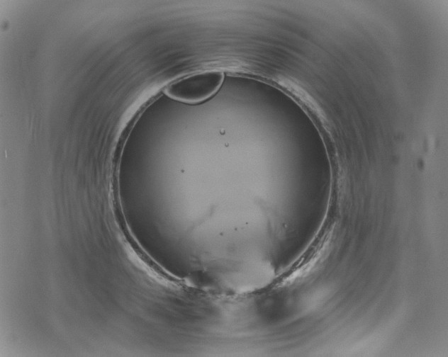 X0000072500941200607141126