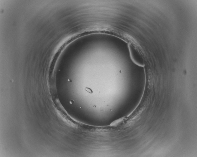 X0000072500942200607141126