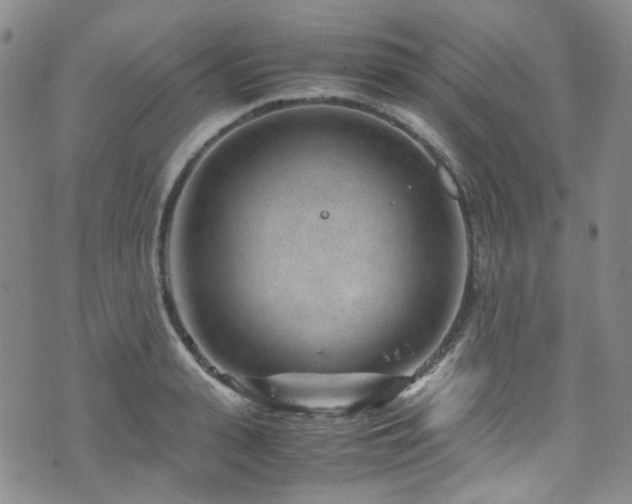 X0000072500943200607141126