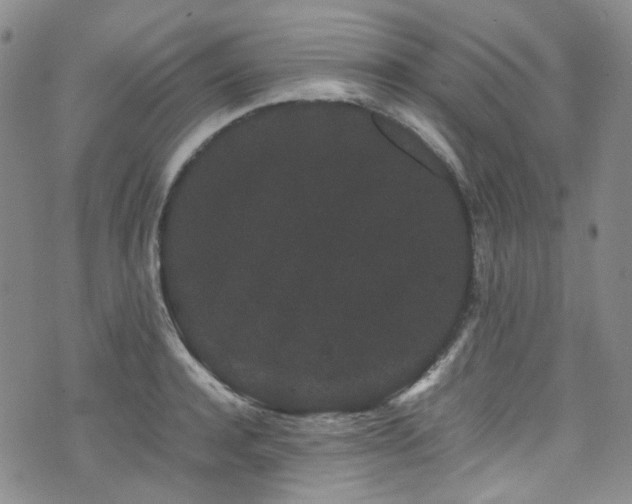 X0000072500944200607141126