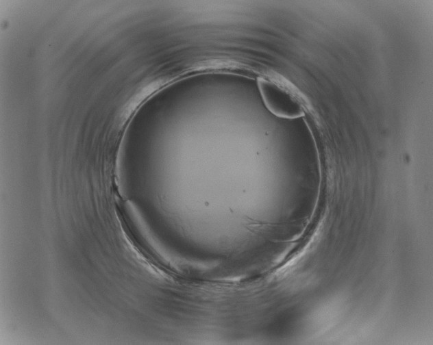 X0000072500945200607141126