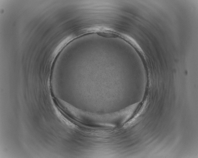 X0000072500946200607141126