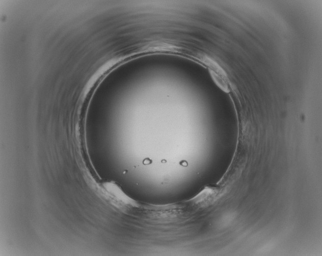 X0000072500947200607141126