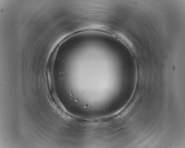 X0000072500948200607141126