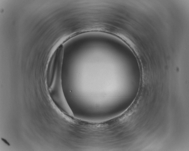 X0000072500949200607141126