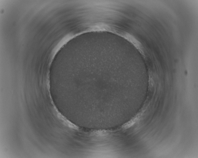 X0000072500950200607141126