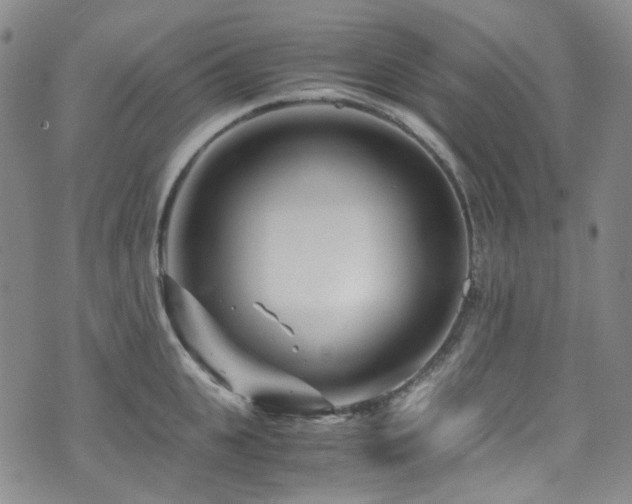 X0000072500951200607141126