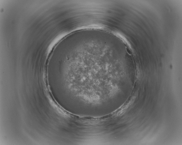 X0000072500952200607141126