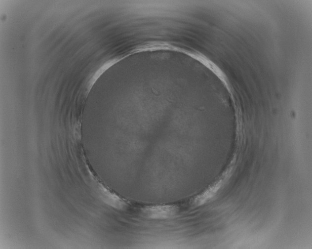 X0000072500953200607141126