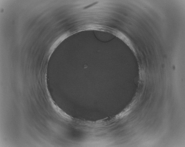 X0000072500954200607141126