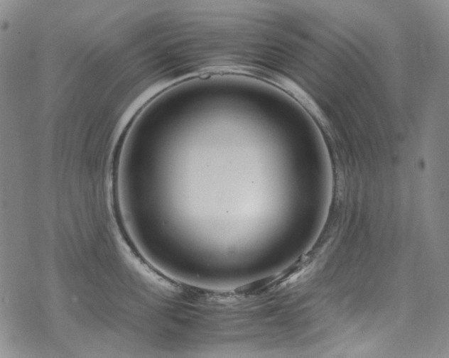 X0000072500955200607141126