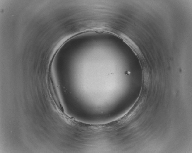 X0000072500956200607141126