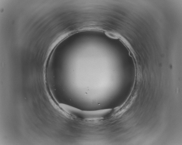 X0000072500957200607141126