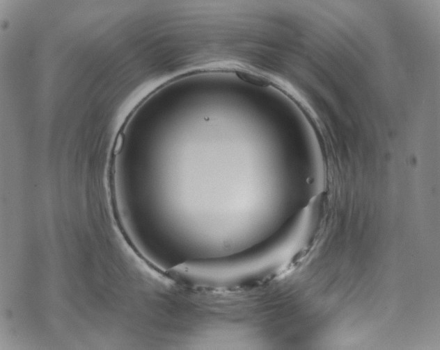 X0000072500959200607141126