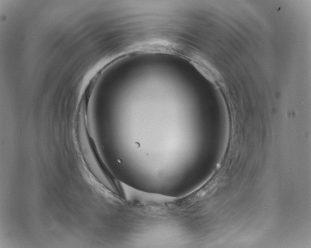 X0000072500960200607141126