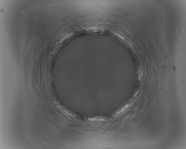 X0000072500961200607141125