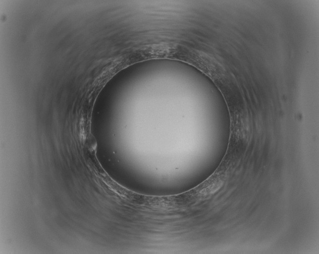 X0000072500962200607141125