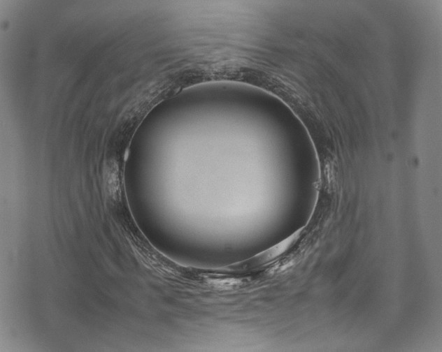 X0000072500963200607141125