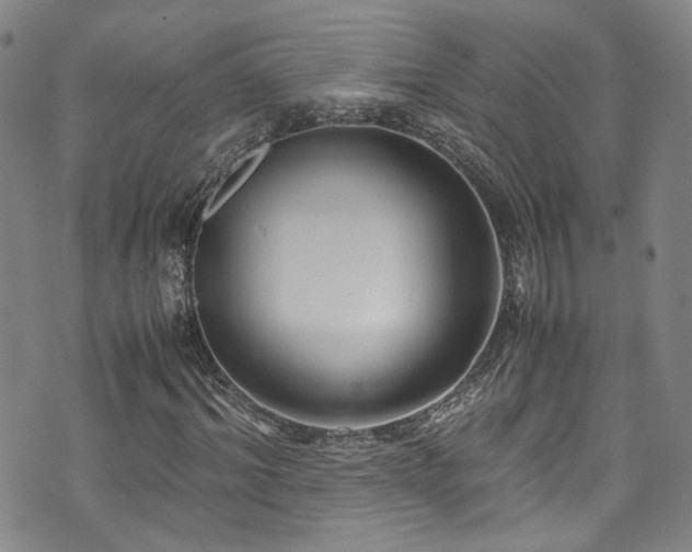 X0000072500964200607141125