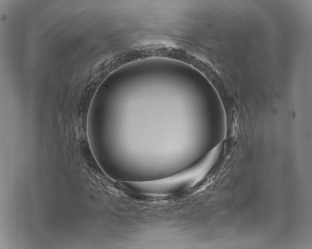 X0000072500965200607141125