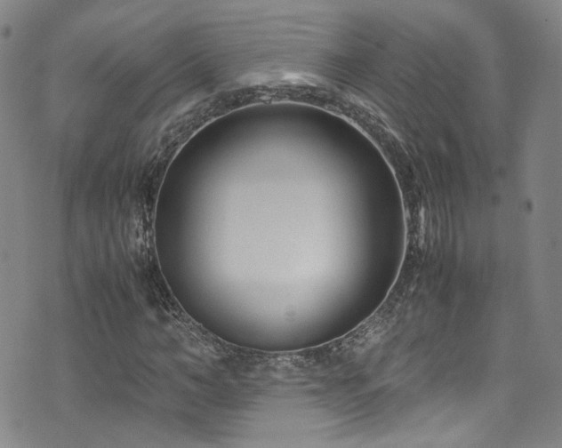 X0000072500966200607141125