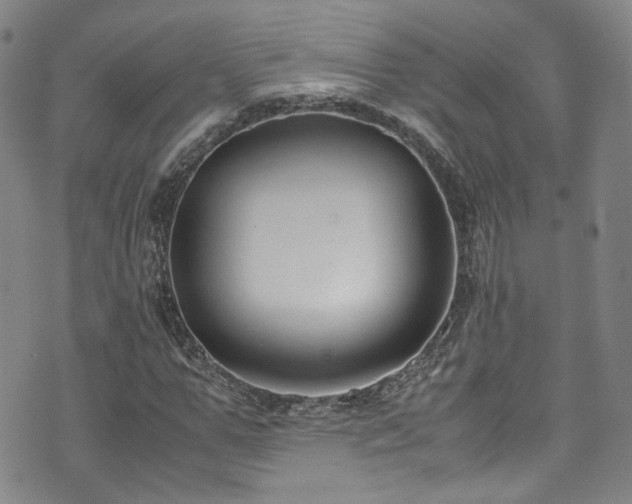 X0000072500967200607141125