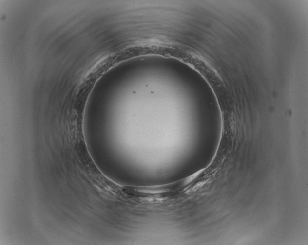 X0000072500968200607141125