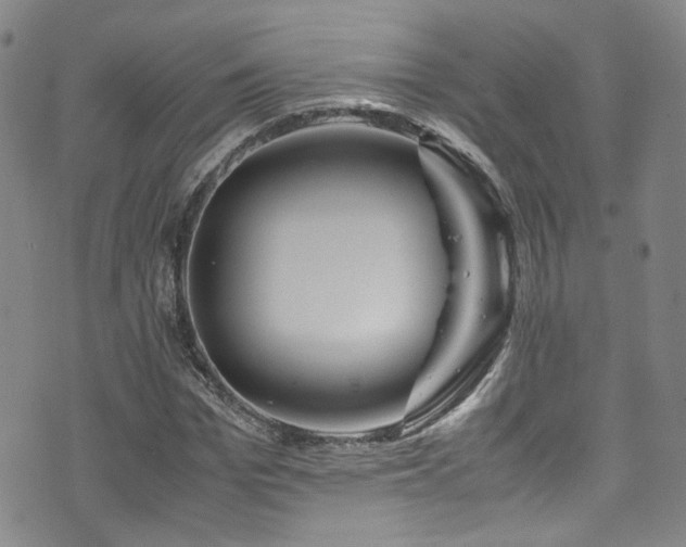 X0000072500969200607141125