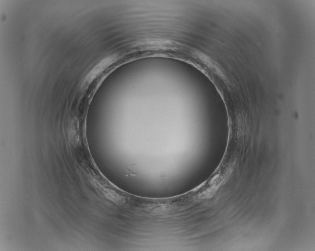 X0000072500970200607141125