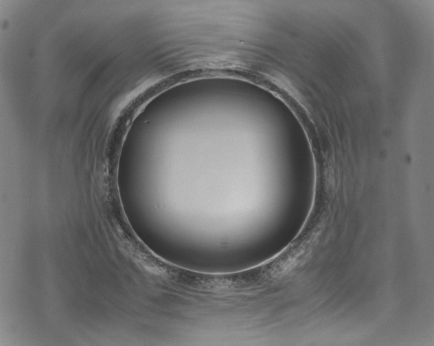 X0000072500971200607141125