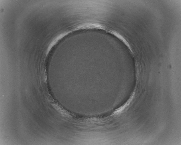 X0000072500973200607141125